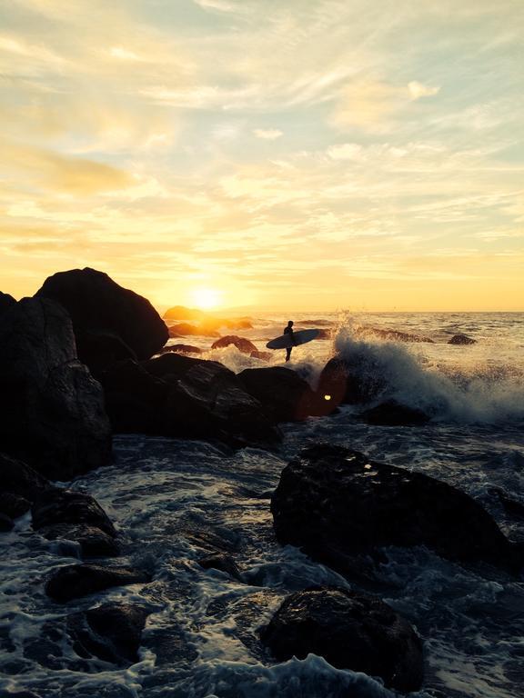 Bazil's Backpackers BBH Hostel&Surf School Westport Zimmer foto