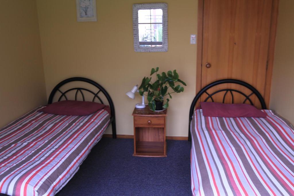 Bazil's Backpackers BBH Hostel&Surf School Westport Zimmer foto